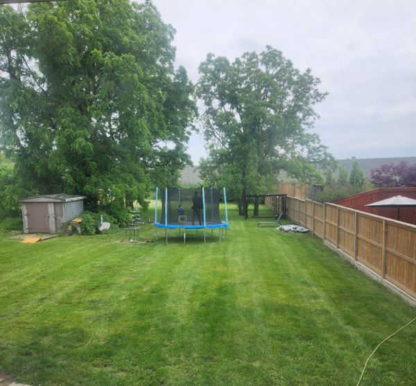 Toronto Homestay Back Yard